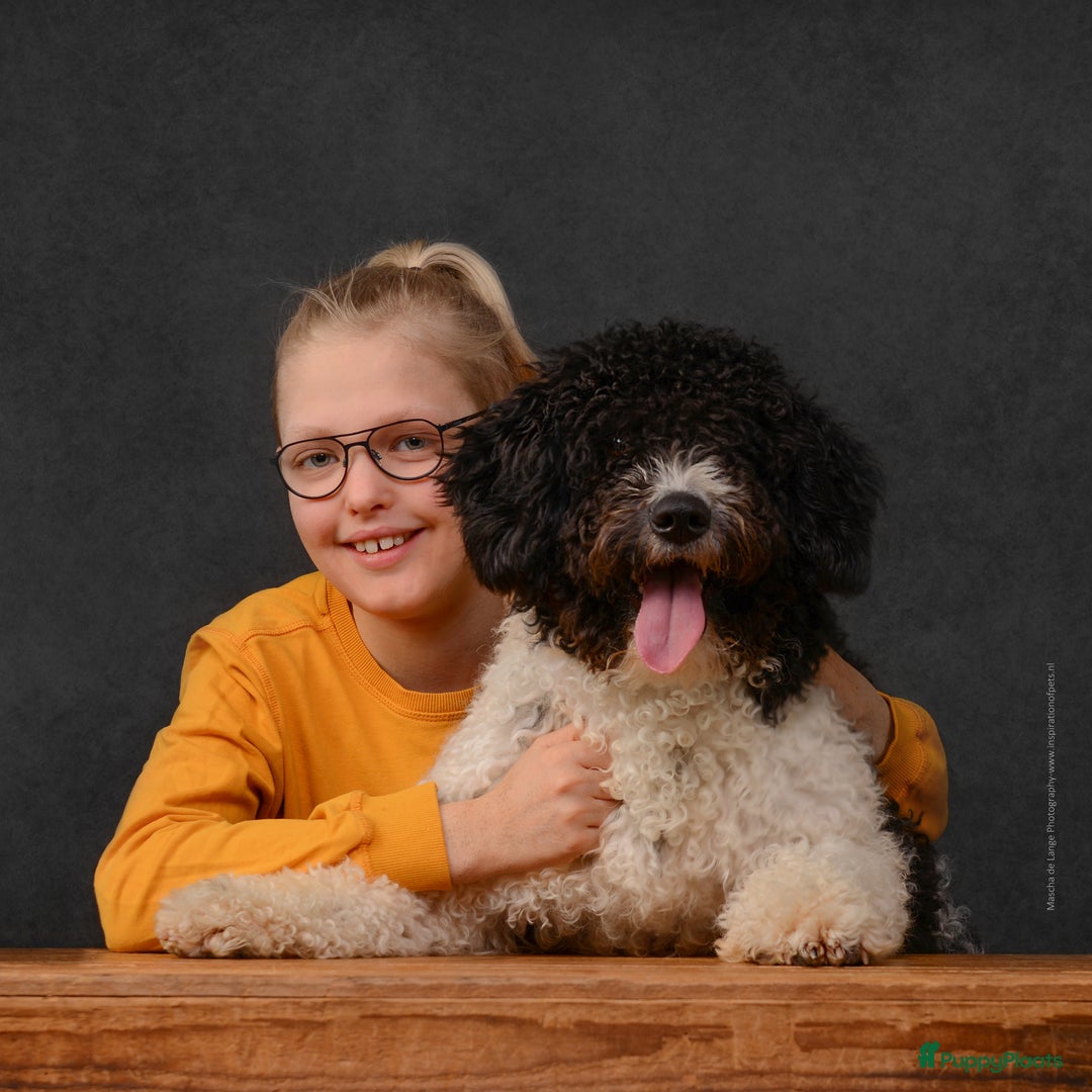 Galerij afbeelding {{count}}