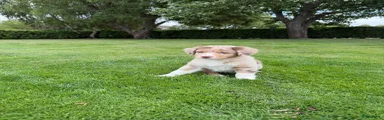 Kruising 2