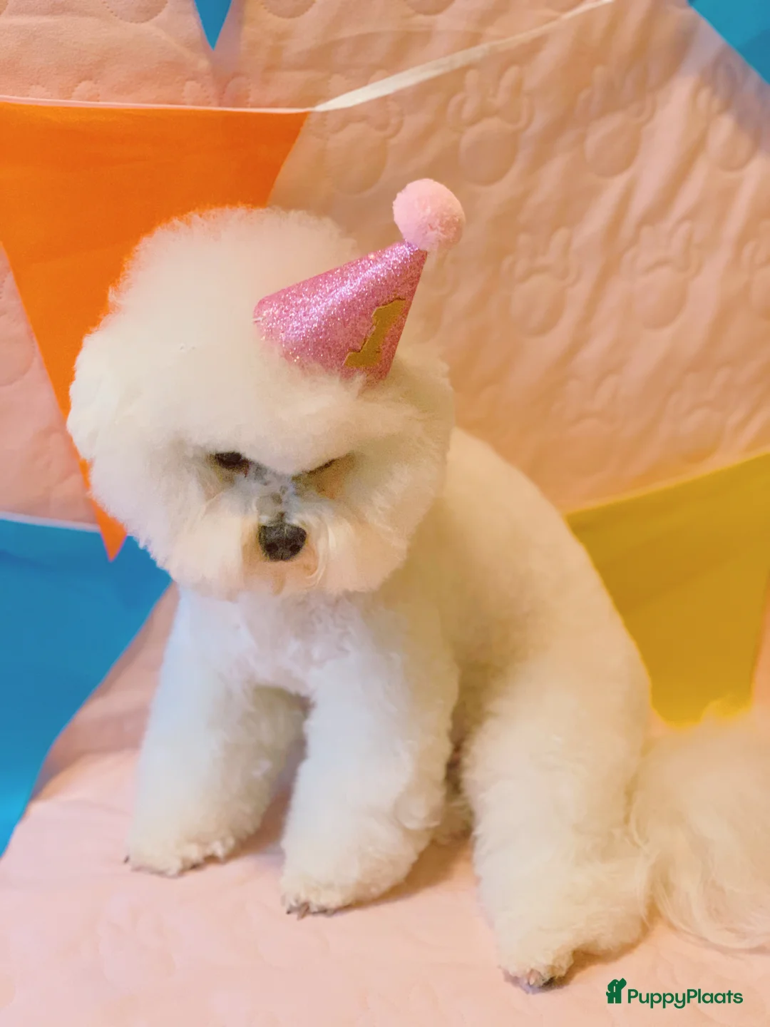 Galerij afbeelding {{count}}