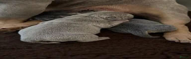 Meringue