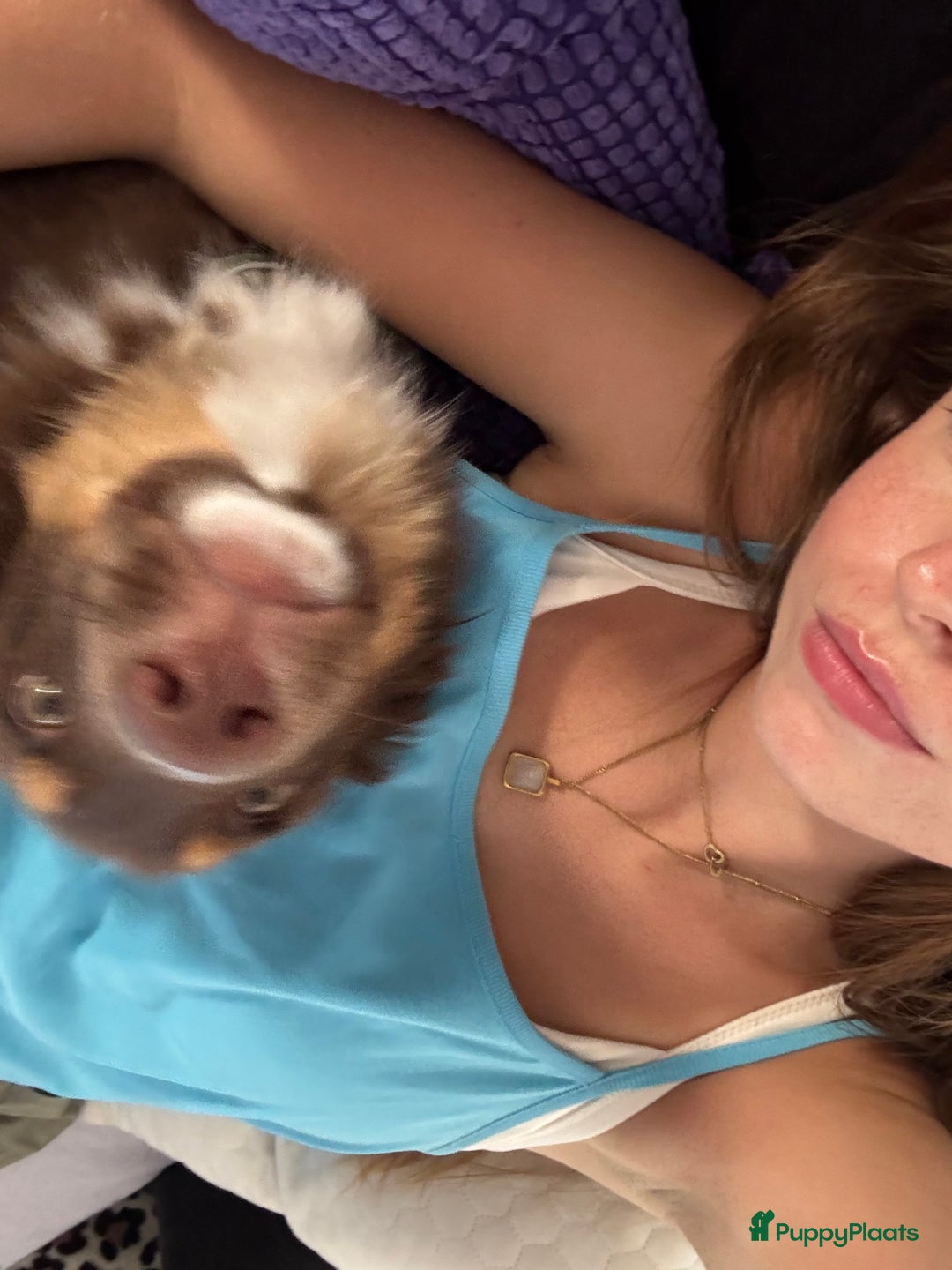 Galerij afbeelding {{count}}