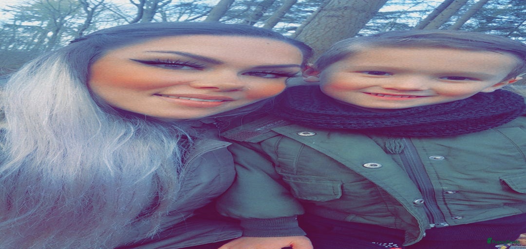 Galerij afbeelding {{count}}