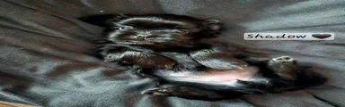 Shadow (geel)