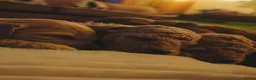 Goldendoodle honden te koop: Goldendoodle Pups Medium  - Advertentie 8