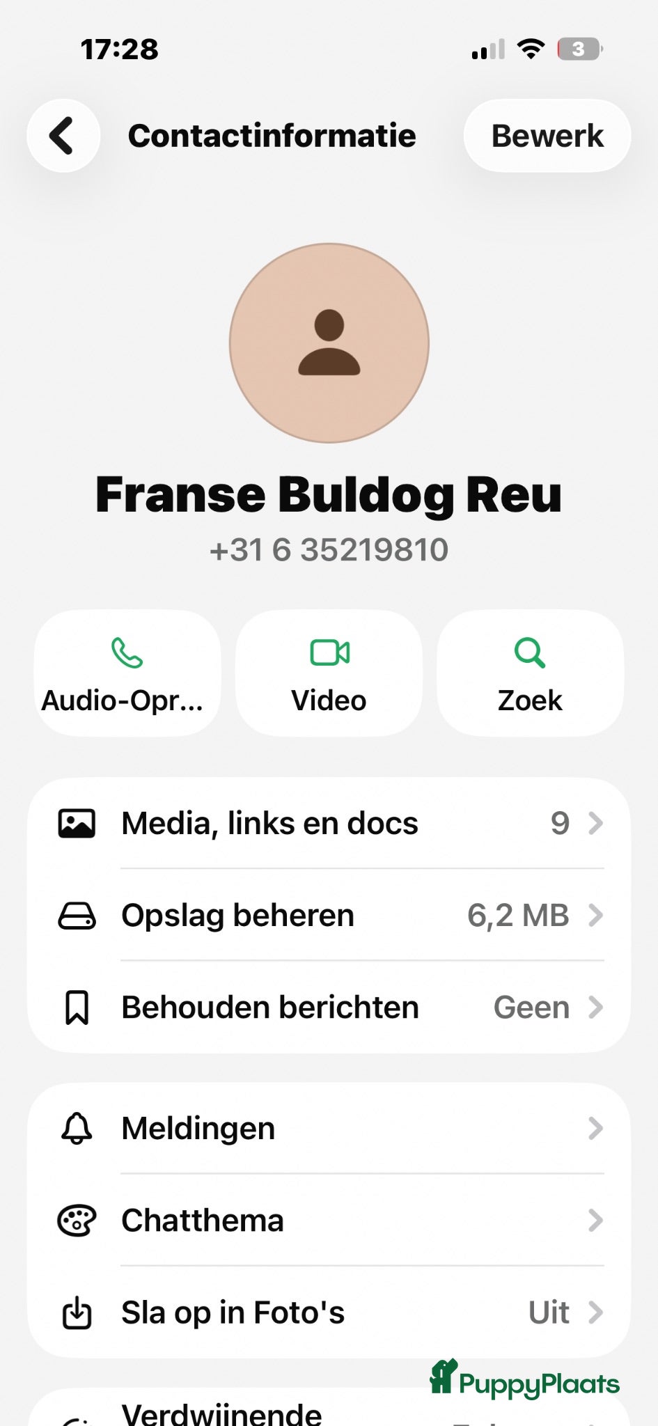 Franse Bulldog honden Franse buldog oplichter  - Advertentie 1