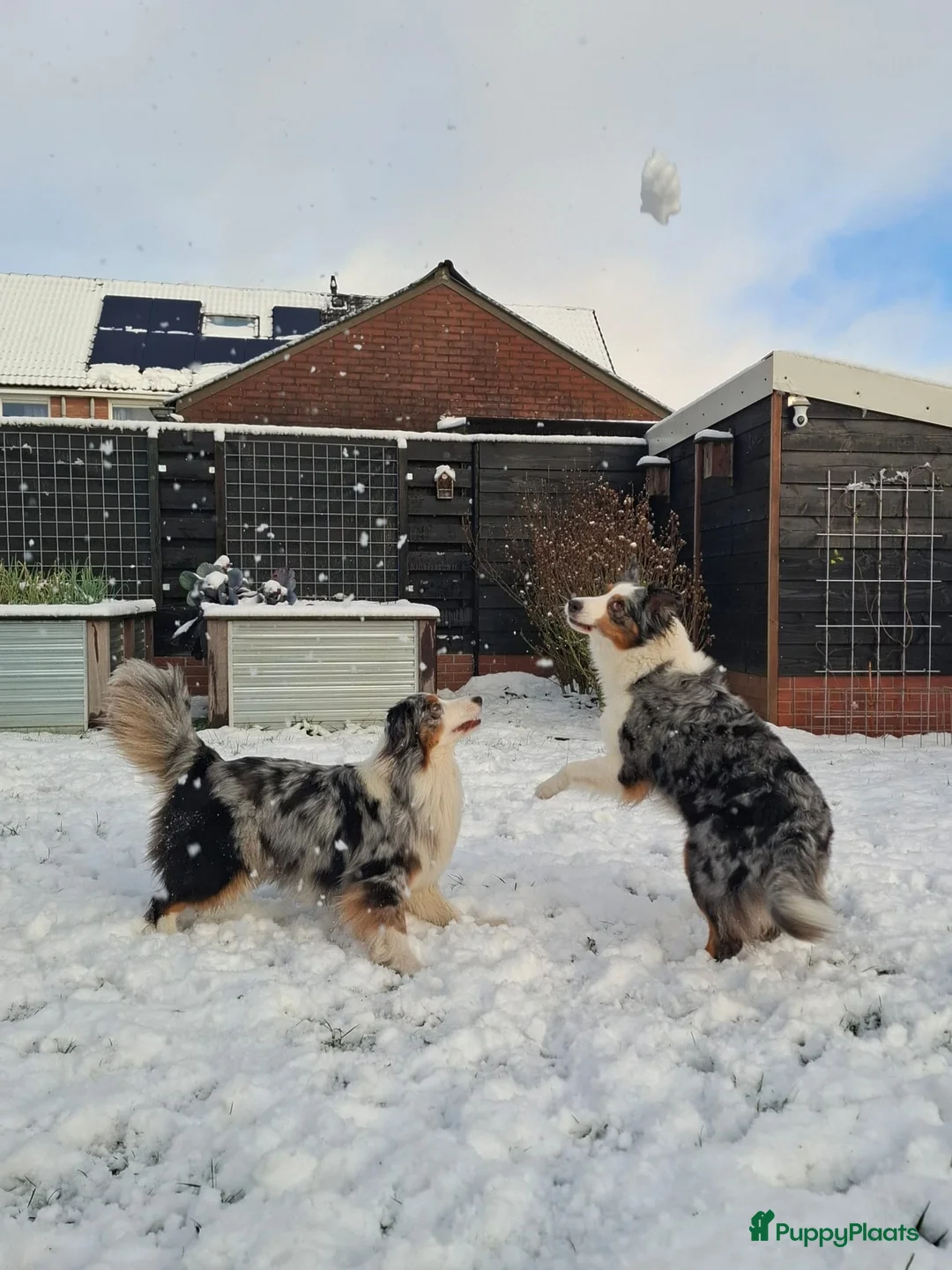 Galerij afbeelding {{count}}