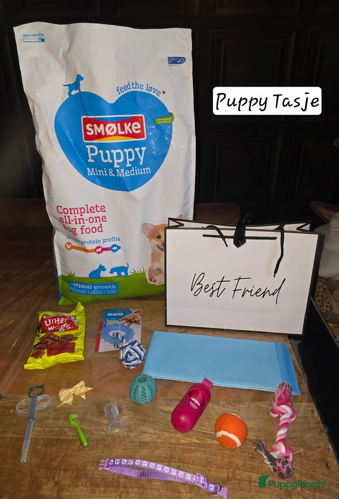 Kruising honden te koop: Boomer pups 14-1 geboren (Shih-Tzu x Boomer) - Advertentie 21