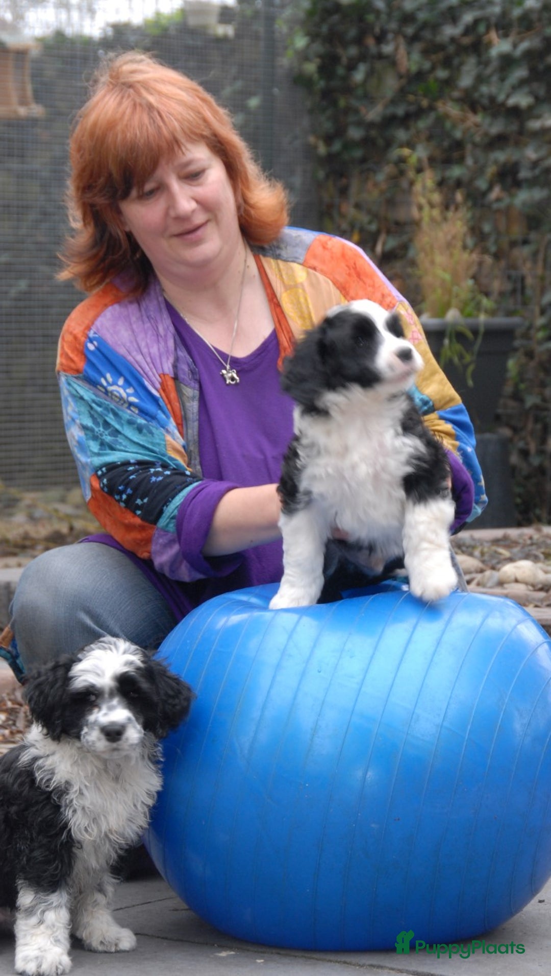 Galerij afbeelding {{count}}