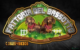 Teckel (korthaar)  honden te koop: De allermooiste dwergteckel pupjes!! - Afbeelding 27