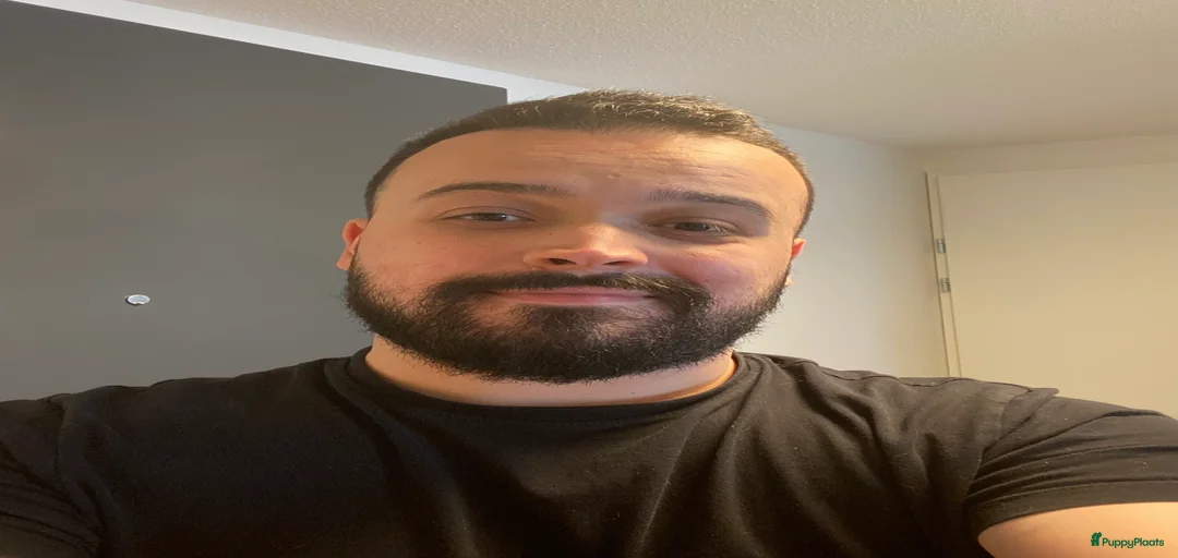 Galerij afbeelding {{count}}