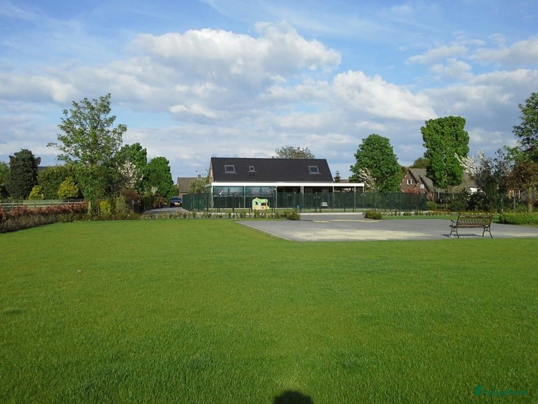 Galerij afbeelding {{count}}