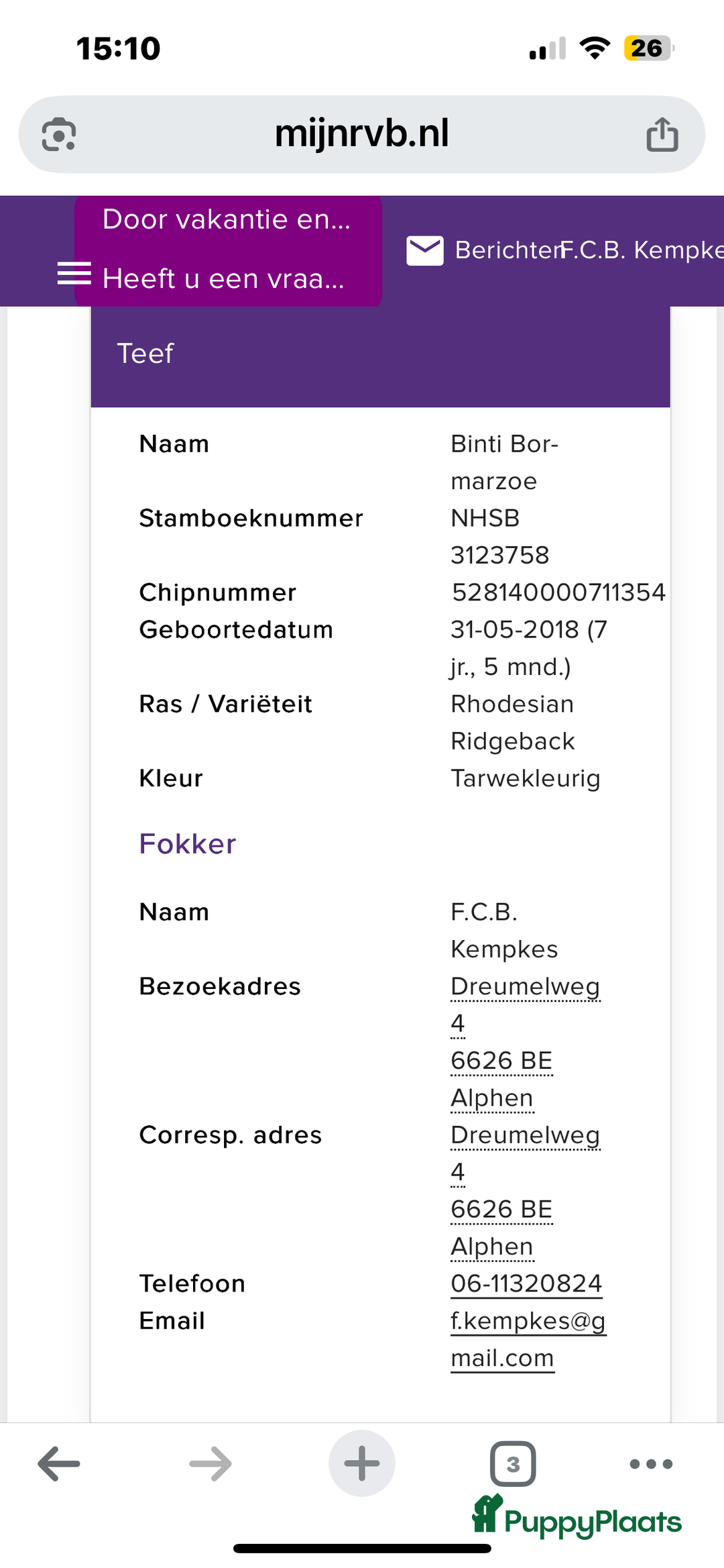 Rhodesian Ridgeback honden te koop: Rhodesian Ridgeback 7 reutjes geboren - Advertentie 24