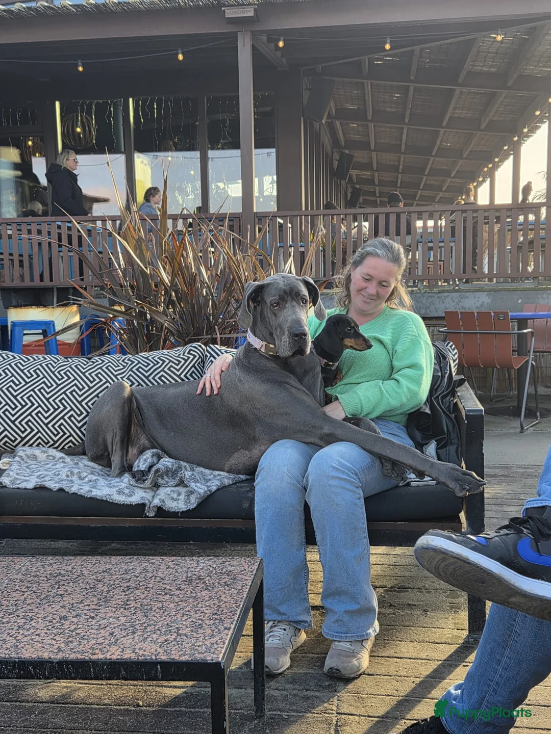 Galerij afbeelding {{count}}