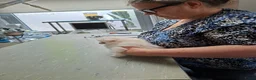 Pomeriaan honden te koop: Dwergkees pomeriaan  - Advertentie 9