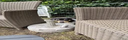 Schotse Herdershond korthaar honden te koop: Nog 2 knappe reuen schotse collie korthaar reuen. - Advertentie 6