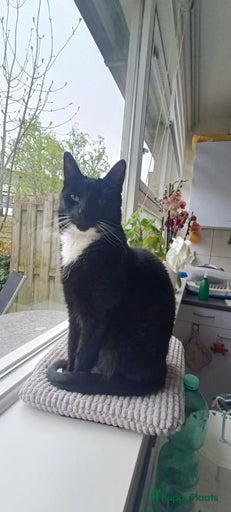 Galerij afbeelding {{count}}