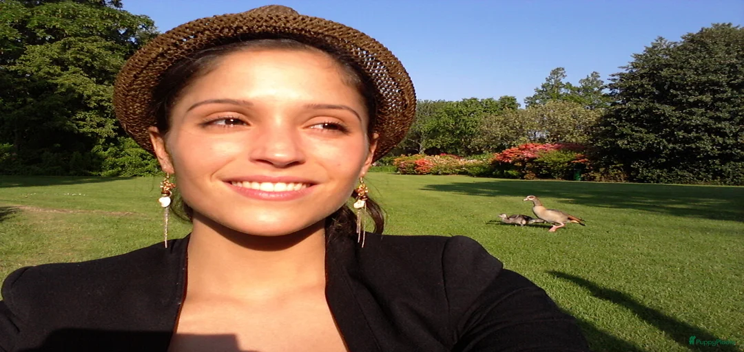 Galerij afbeelding {{count}}