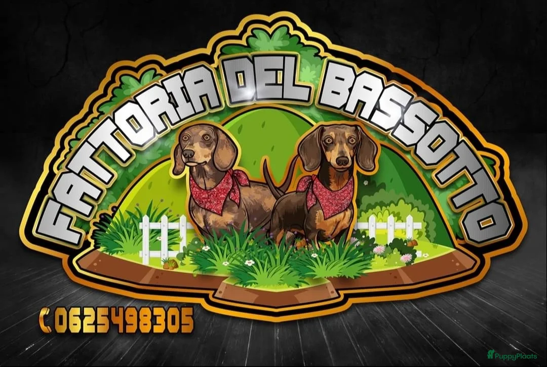 Galerij afbeelding {{count}}