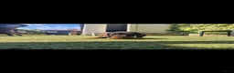 Ruwhaar Teckel honden te koop: Ruwharige teckel pups - Advertentie 5