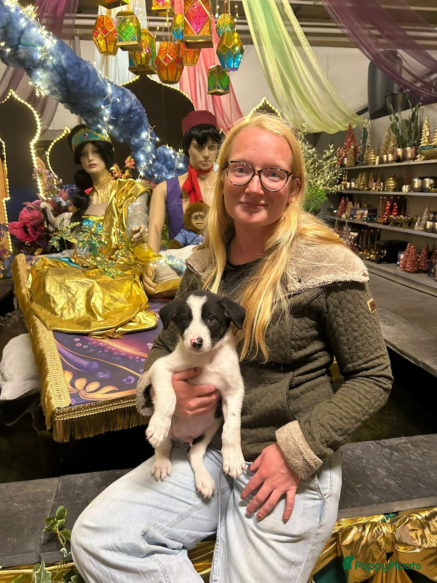 Border Collie honden te koop: 2 prachtige Border Collie pups  - Advertentie 1
