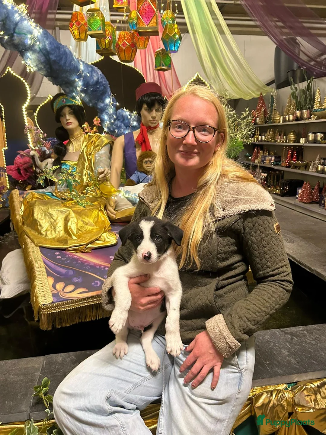Border Collie honden te koop: 2 prachtige Border Collie pups  - Advertentie 1