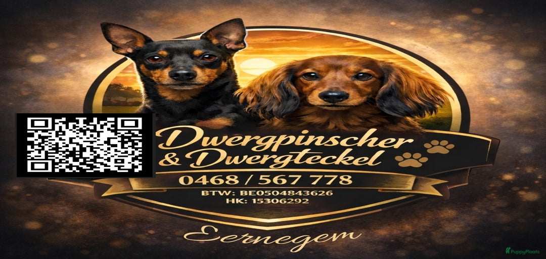 Galerij afbeelding {{count}}