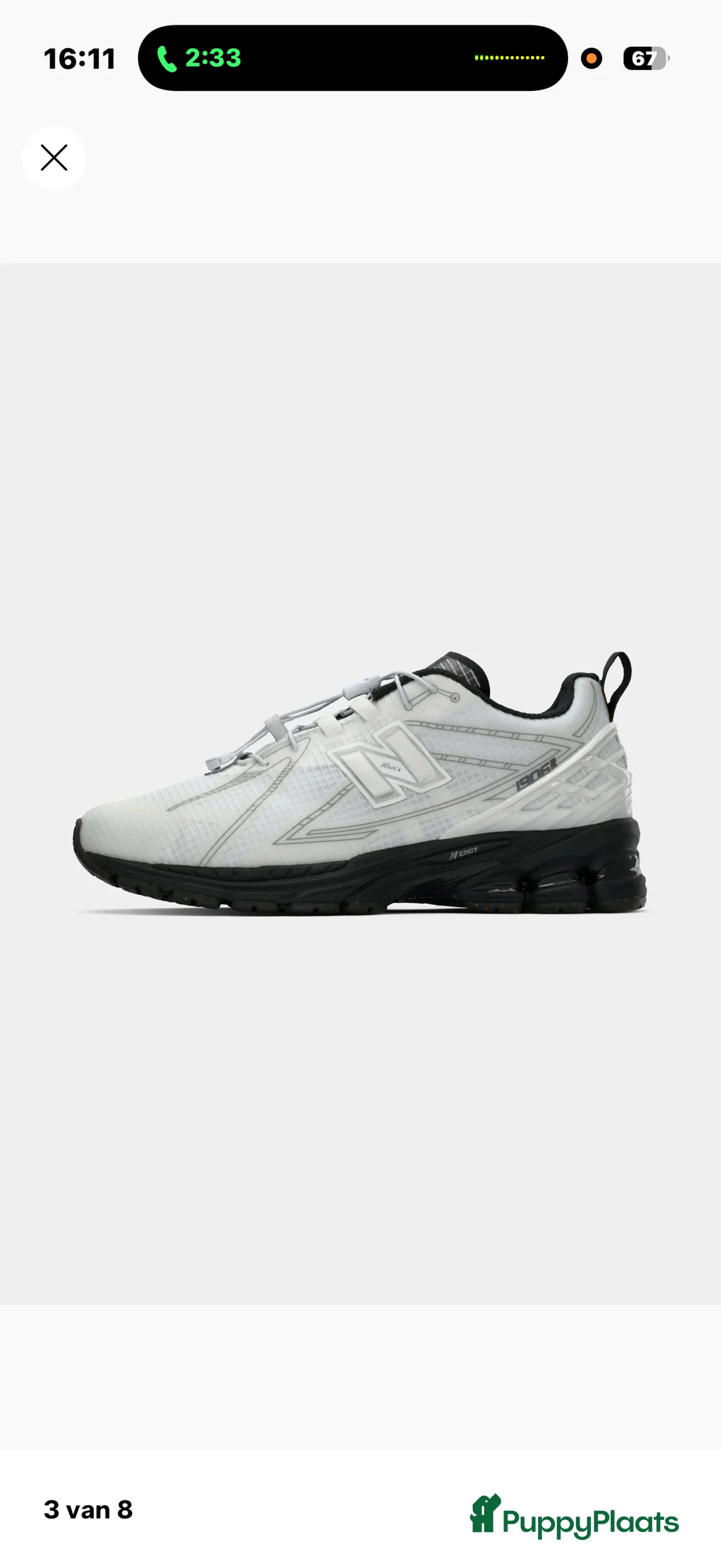 Pomeriaan honden te koop: Pomeriaan pups - Advertentie 5