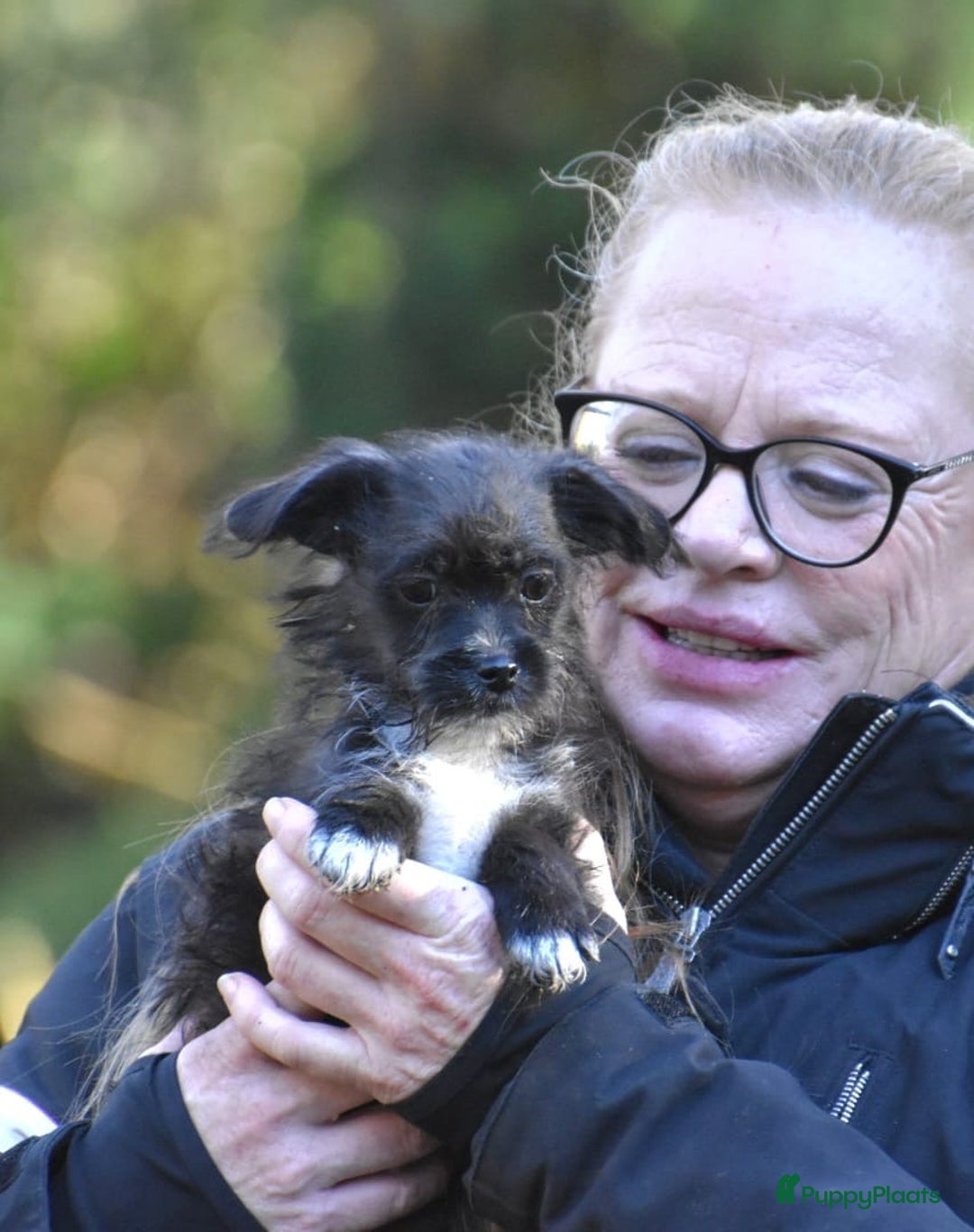 Boomer honden te koop: Super leuke zeer vrije Boomer pups - Advertentie 13