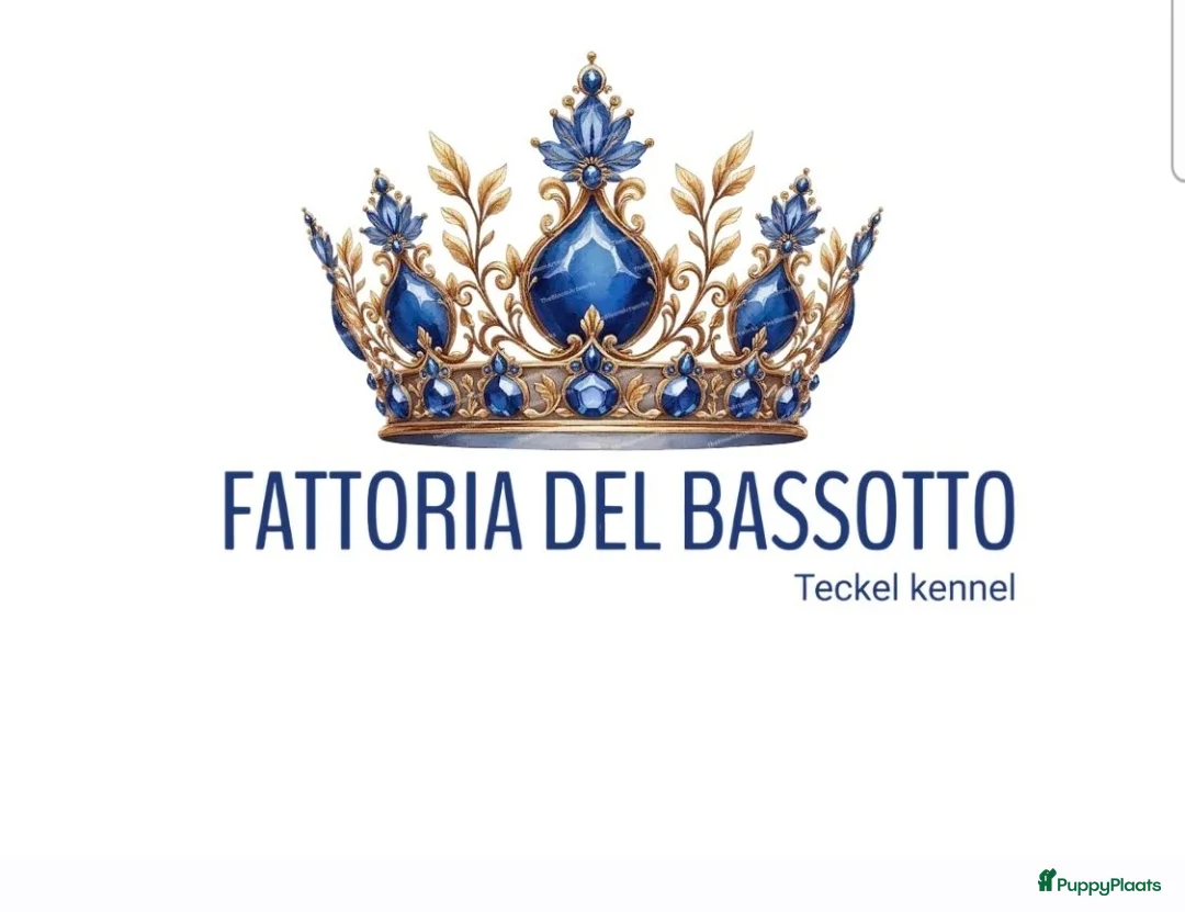 Galerij afbeelding {{count}}