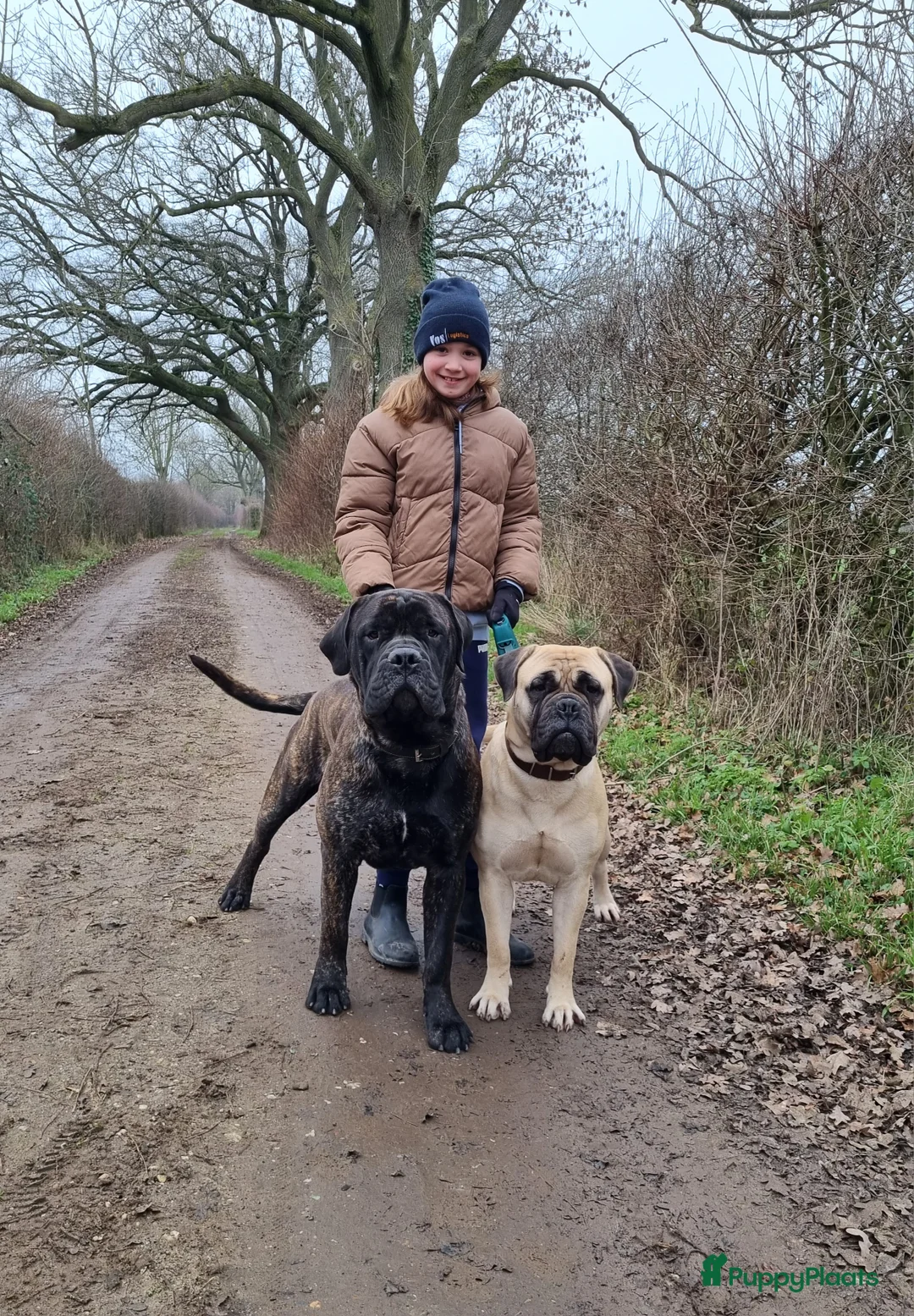 Galerij afbeelding {{count}}