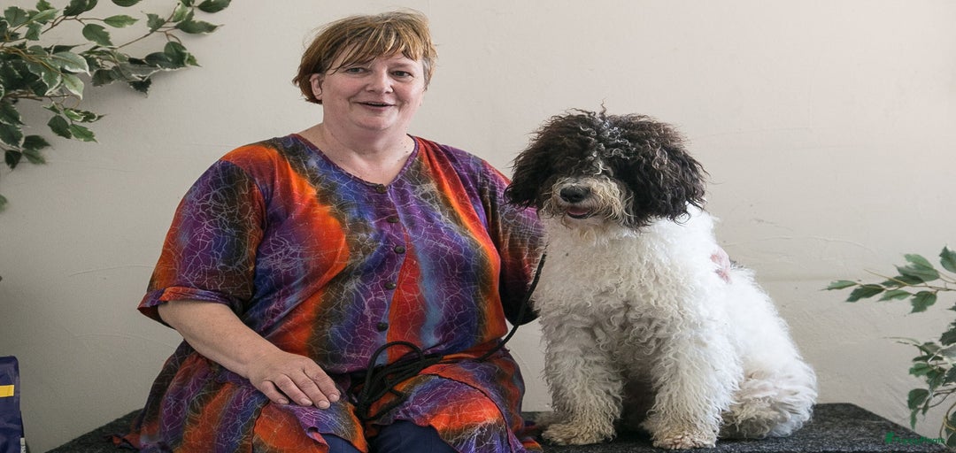 Galerij afbeelding {{count}}