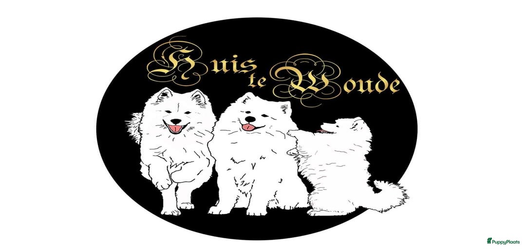 Galerij afbeelding {{count}}