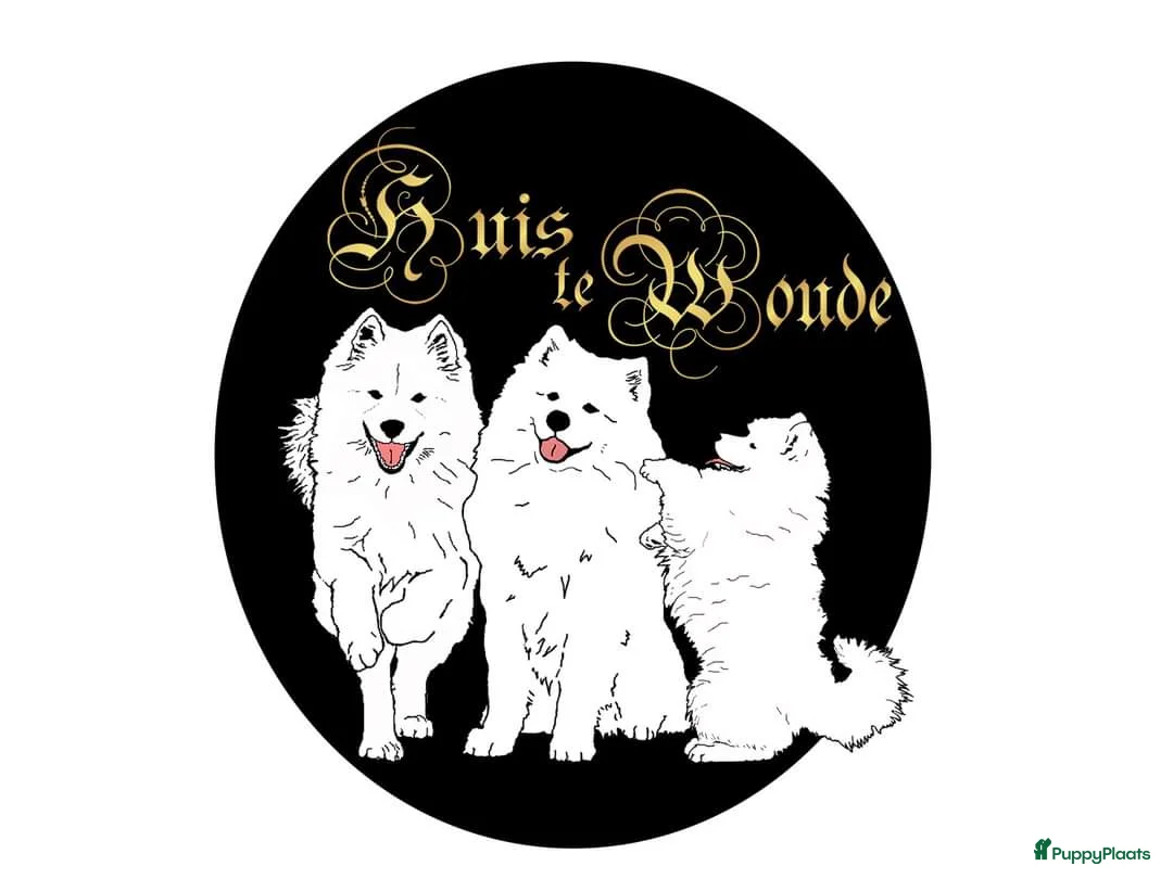 Galerij afbeelding {{count}}