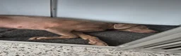 Kruising honden te koop: Hele mooie Labmaraner (Labrador x Weimaraner) pups - Advertentie 14