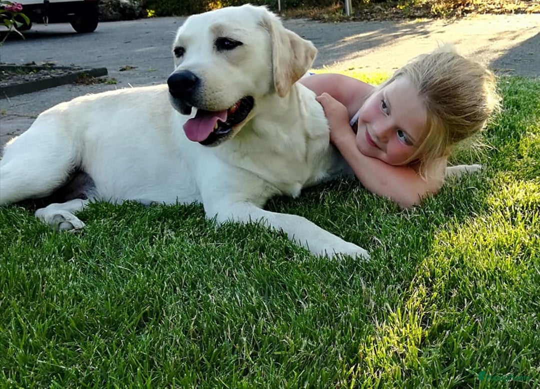 Galerij afbeelding {{count}}