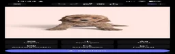 Poedel Toy honden te koop: Toy poedel raszuiver  - Advertentie 9