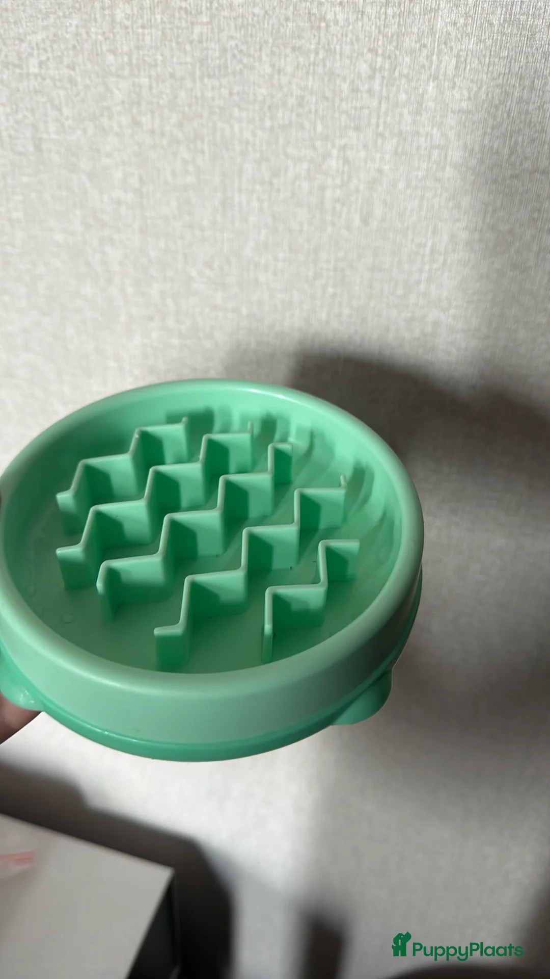 Kruising honden te koop: Labrador mix pup teefje - Advertentie 9