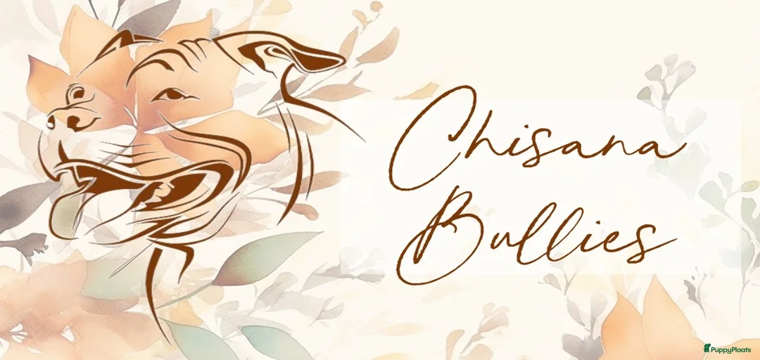 Galerij afbeelding {{count}}