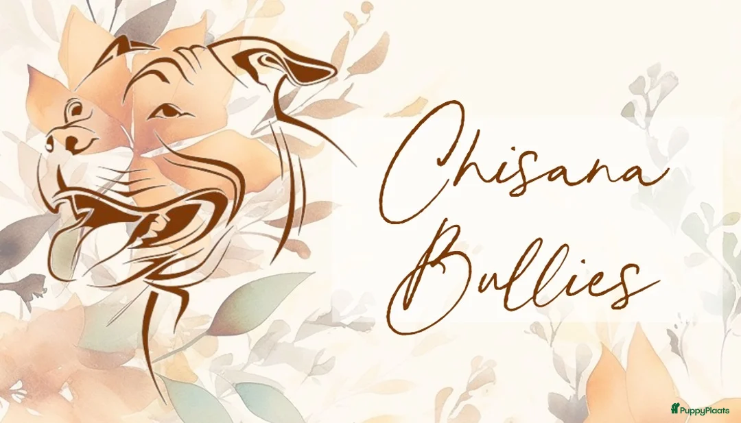 Galerij afbeelding {{count}}