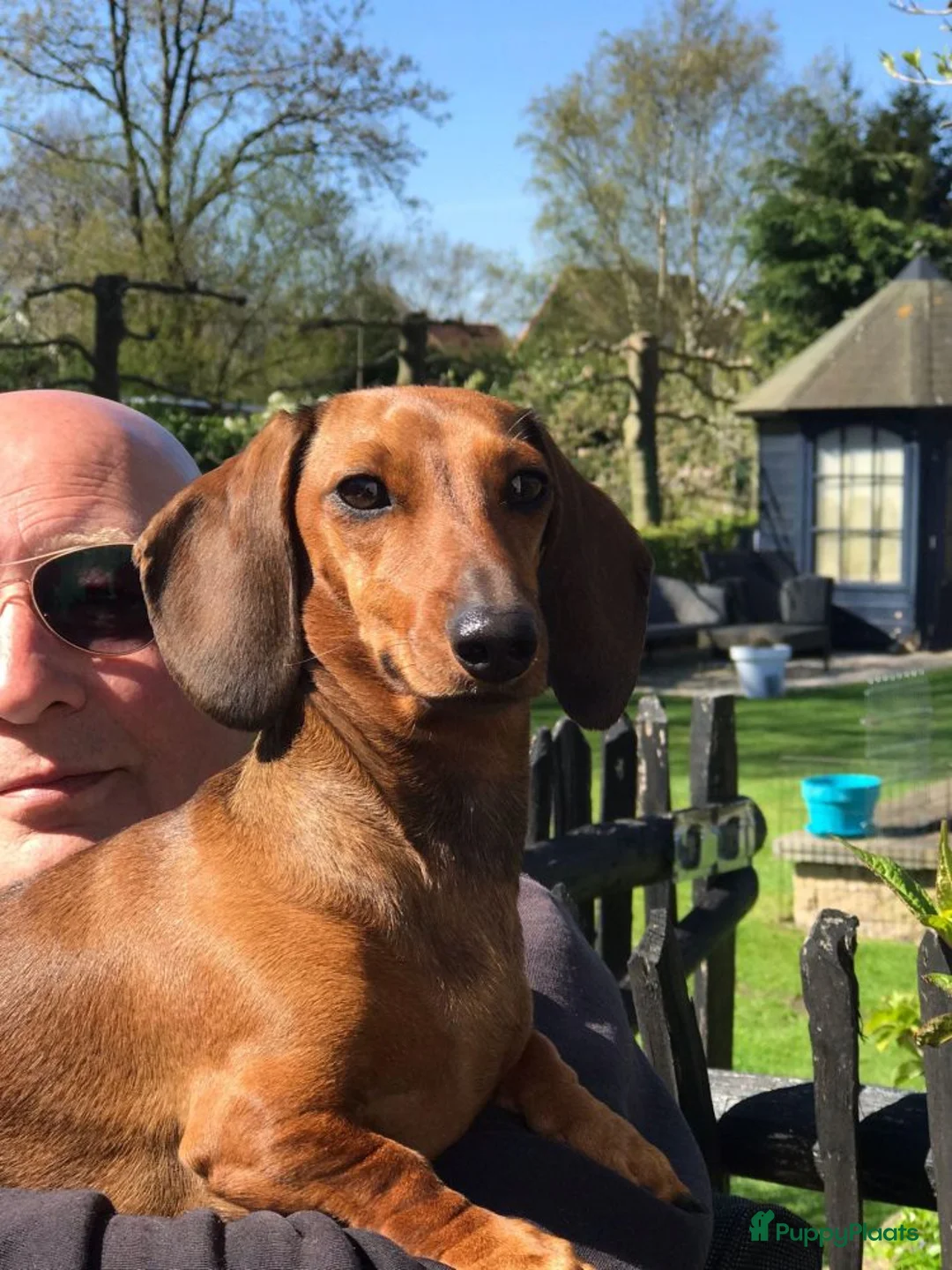 Galerij afbeelding {{count}}