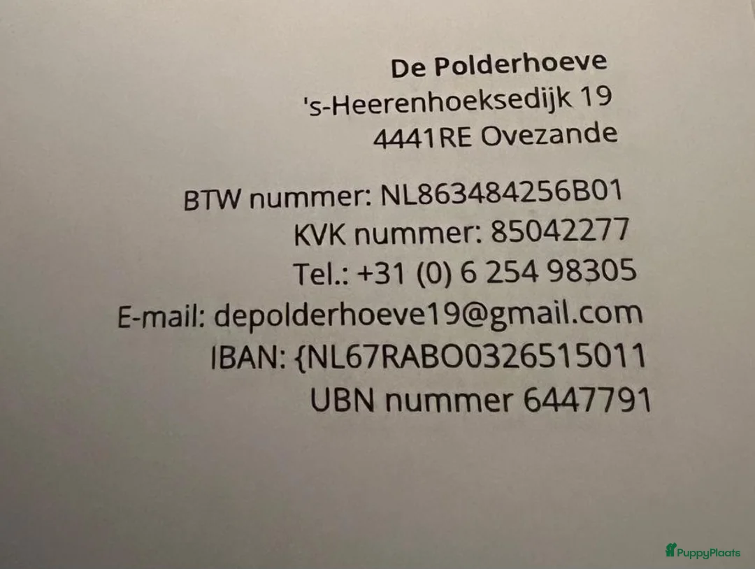 Galerij afbeelding {{count}}