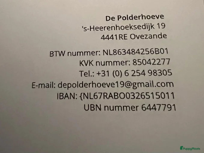 Galerij afbeelding {{count}}