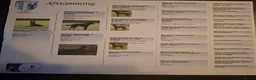 Hollandse Herder honden te koop: Hollandse herder pups - Advertentie 10