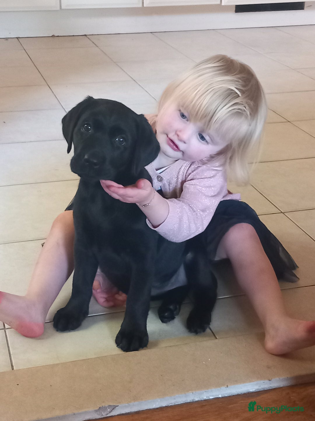 Galerij afbeelding {{count}}