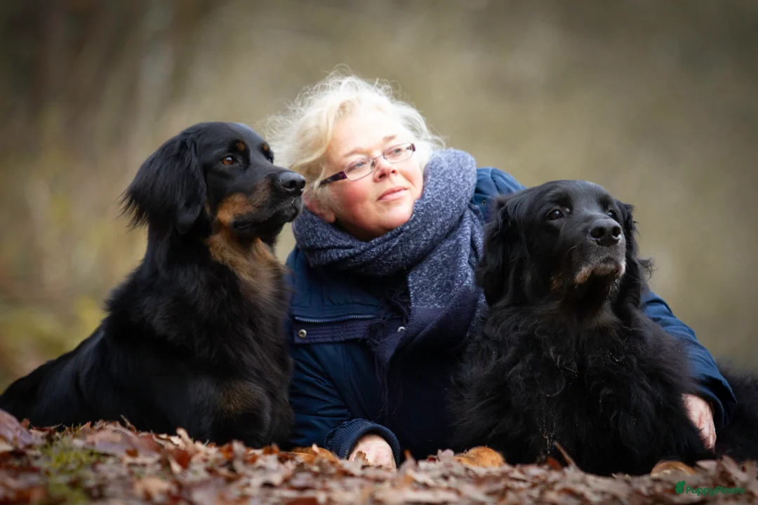 Galerij afbeelding {{count}}