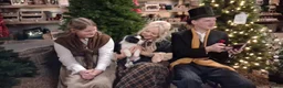 Border Collie honden te koop: 2 prachtige Border Collie pups  - Advertentie 7