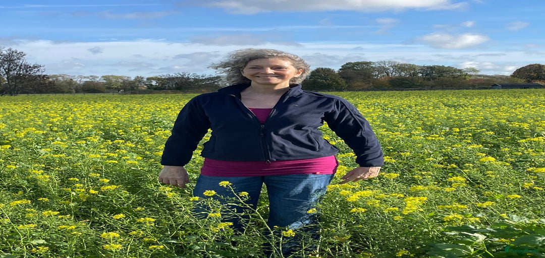 Galerij afbeelding {{count}}