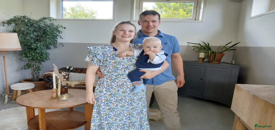 Galerij afbeelding {{count}}