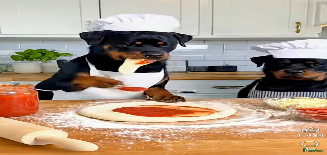 Galerij afbeelding {{count}}