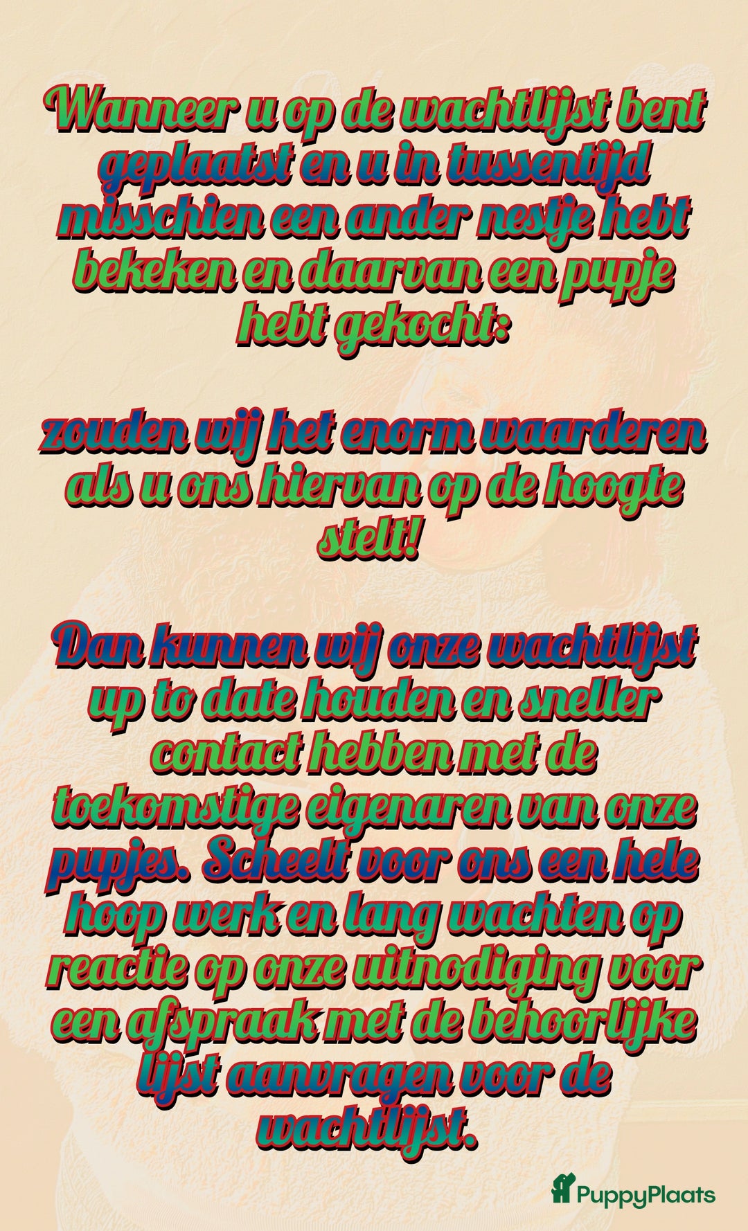 Maltipoo honden te koop: Maltipoo F1b worden rond kerst geboren 🥰 !  - Advertentie 6